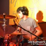 Picture_155_Les_Elephants_Bizare
