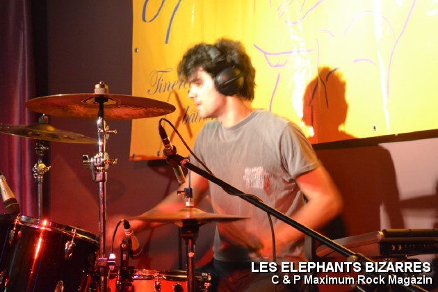 Picture_155_Les_Elephants_Bizare