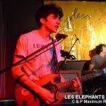 Picture_159_Les_Elephants_Bizare