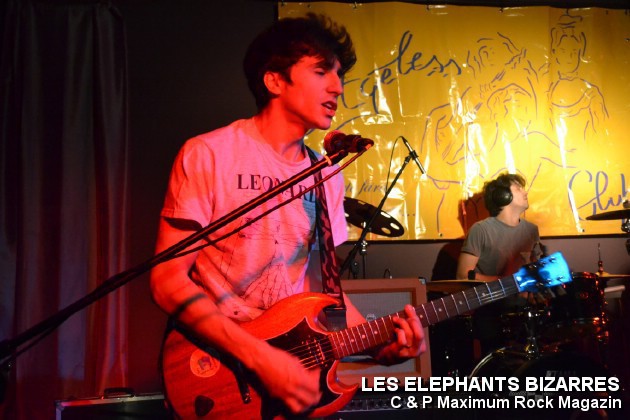 Picture_159_Les_Elephants_Bizare