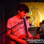 Picture_161_Les_Elephants_Bizare