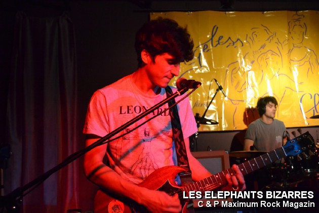 Picture_161_Les_Elephants_Bizare