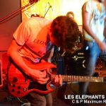 Picture_162_Les_Elephants_Bizare