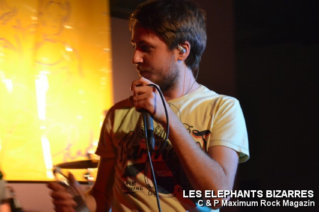 Picture_167_Les_Elephants_Bizare