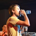 Picture_173_Les_Elephants_Bizare