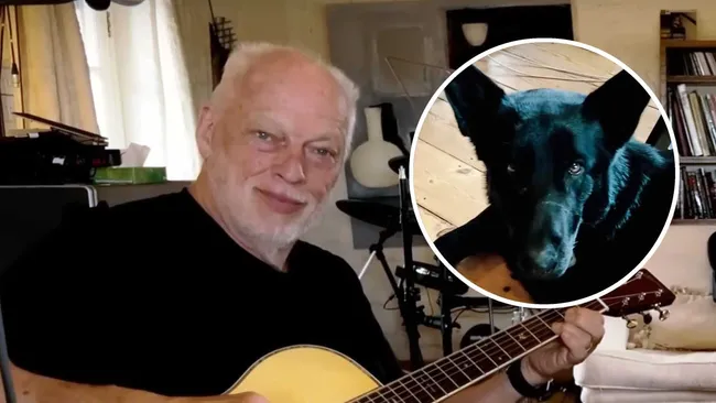 Gilmour interpreteaza Wish You Were Here acustic