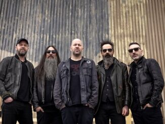 FINGER ELEVEN