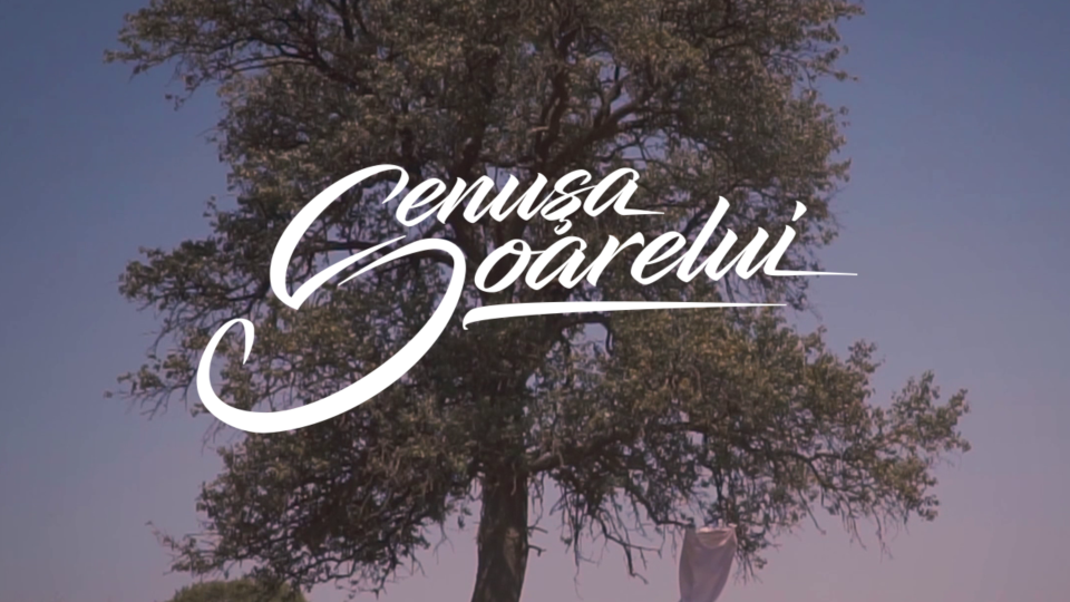 Cenușa Soarelui – „Cum(va) Vrea Ea” (comunicat)